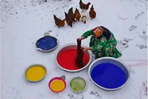 زن رنگرز برنده مسابقه جهانی عکس
