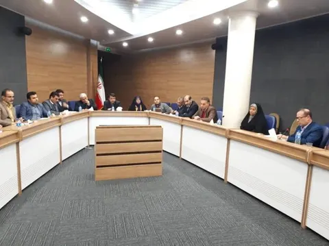 فرحناز رافع: فرش ترکمن می تواند بدرخشد