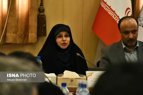 صنعت فرش به حالت احتضار درآمده است