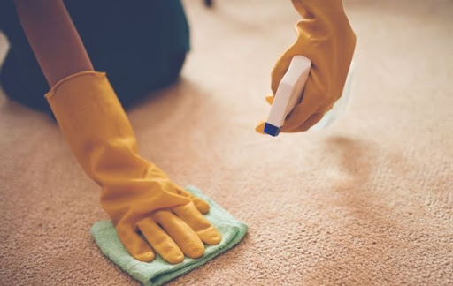 پاک کردن همه نوع لکه از روی فرش به آسانی