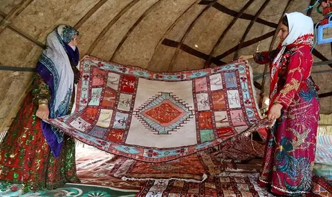 جلوگیری از صادرات پشم از ایلام به سایر استان ها!