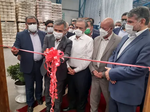 رونمایی از دو طرح جدید در حوزه فرش در آران وبیدگل