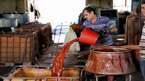 شناسایی و ثبت بیش از یکهزار رنگ اصیل و طبیعی در چهارمحال و بختیاری