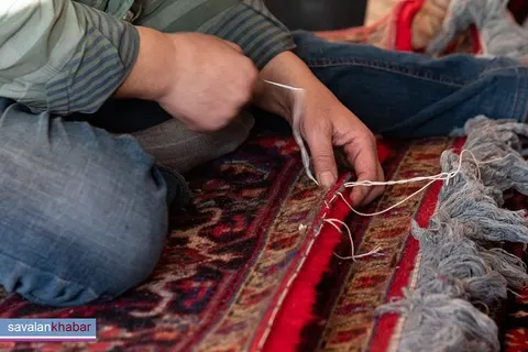 افزایش ۳ برابری بیمه شاغلان فرش در اردبیل