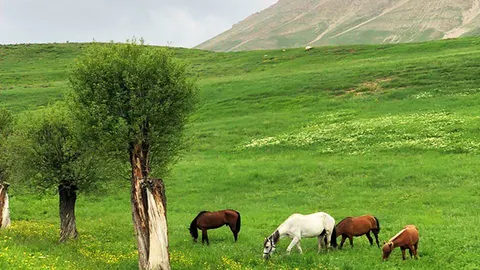 ییلاق‌ های اطراف تهران؛ جاهای خنکی که در تابستان باید رفت!