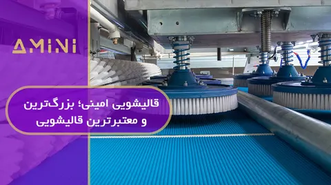 قالیشویی امینی